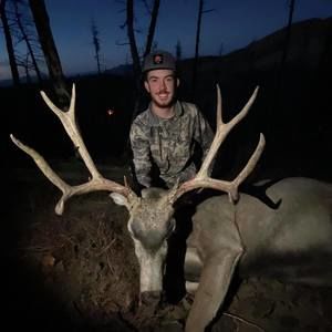 Meet your Posher, Alicia